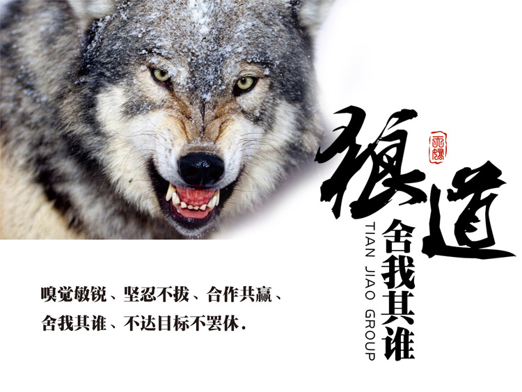 天娇集团企业文化