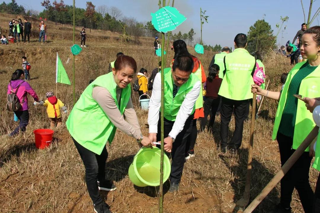 天娇集团开展义务植树活动