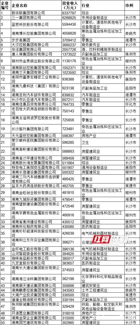 湖南省民营企业百强名单