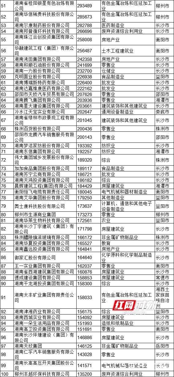 湖南省民营企业百强名单