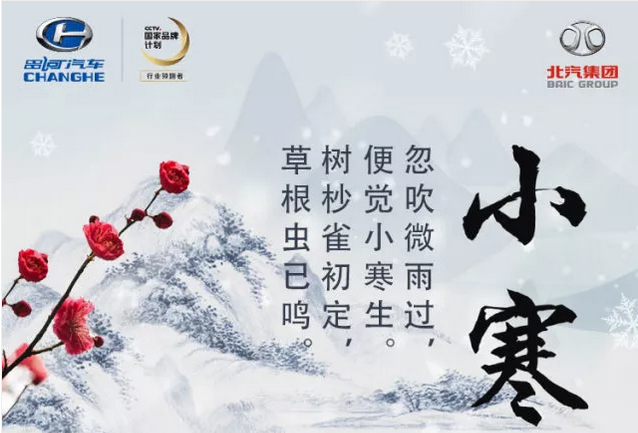 小寒至丨踏雪寻梅时，温暖亦舒适