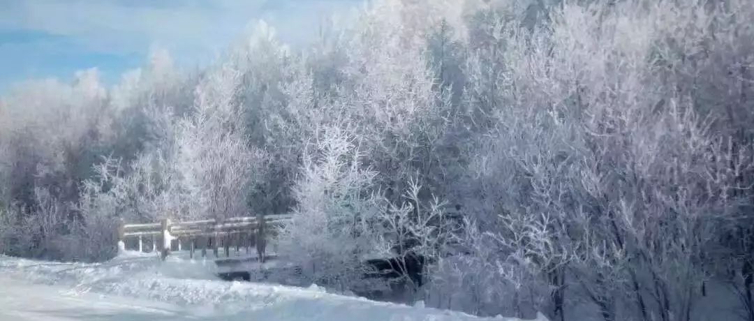 奕行记|奕路向北，驶向雪国阿尔山